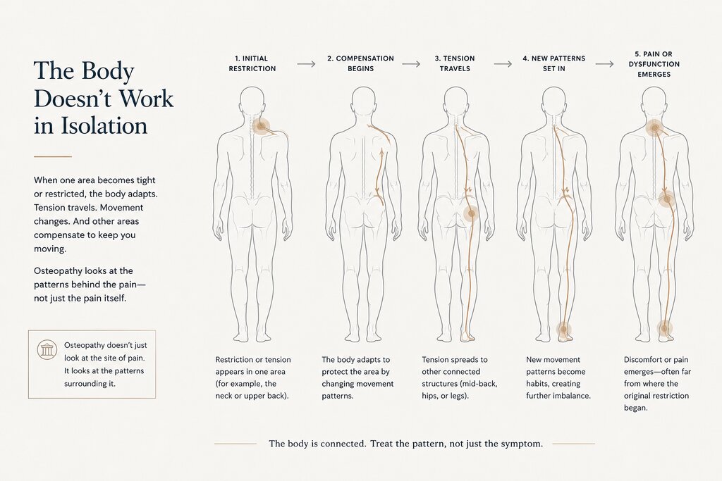 Infographic titled “The Body Doesn’t Work in Isolation” showing five stages of how tension and compensation patterns move through the body. The graphic explains “1. Initial Restriction,” “2. Compensation Begins,” “3. Tension Travels,” “4. New Patterns Set In,” and “5. Pain or Dysfunction Emerges,” with illustrated body diagrams highlighting how discomfort can spread from the neck and back into the hips and legs over time. Text on the graphic reads “Osteopathy looks at the patterns behind the pain not just the pain itself” and “The body is connected. Treat the pattern, not just the symptom.”